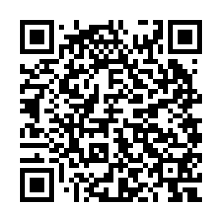 QR code for DIF 250