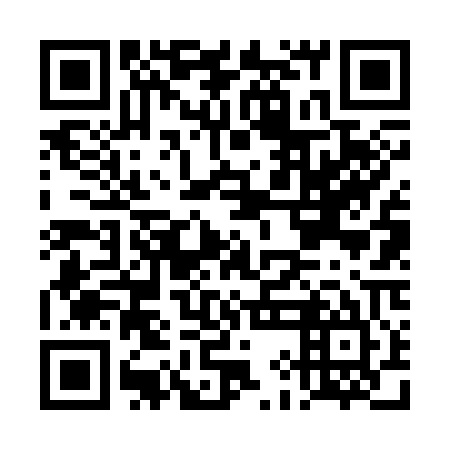 QR code for DIF 305
