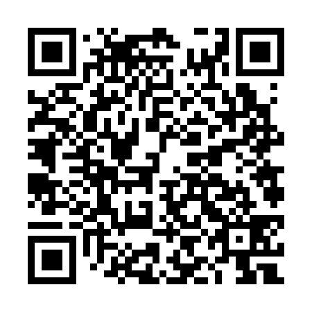 QR code for DIF 339