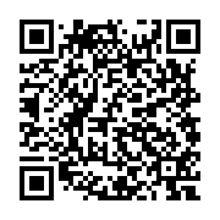 QR code for DIF 911