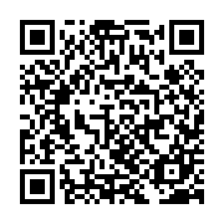 QR code for plate DIF 007