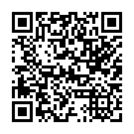 QR code for plate DIF 989