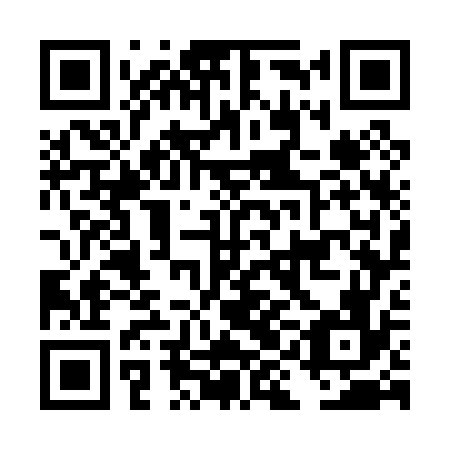 QR code for DIG 076