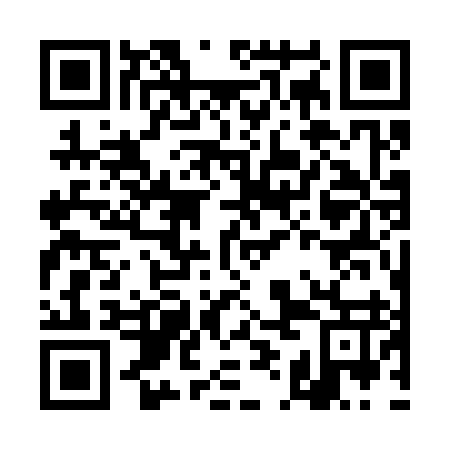 QR code for DIG 397