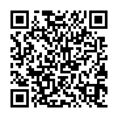 QR code for DIG 711