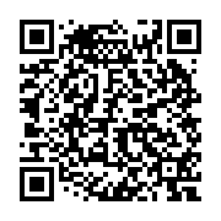 QR code for plate DIG 210