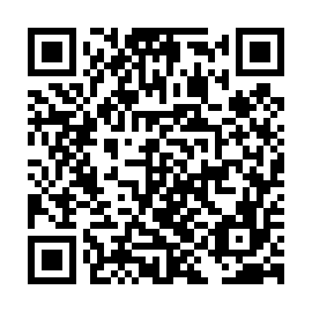 QR code for plate DIG 456
