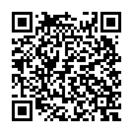QR code for DIG663
