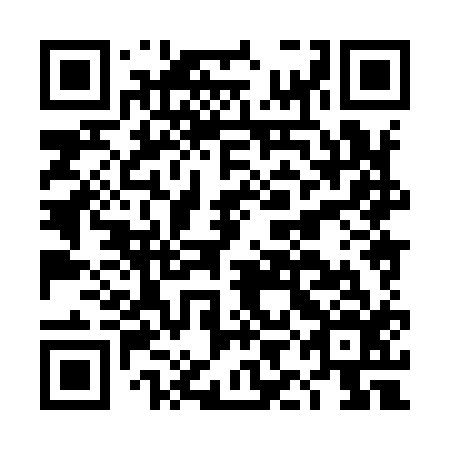 QR code for DIH 916