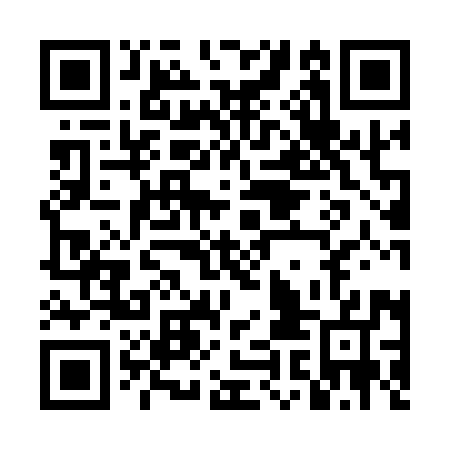 QR code for DII 197