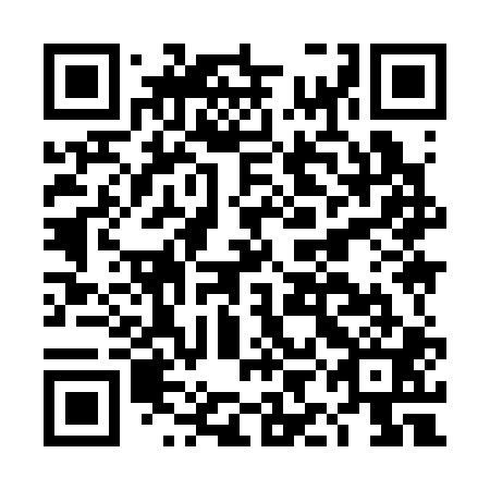 QR code for DII 301
