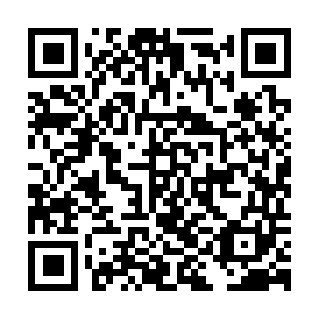QR code for DII341
