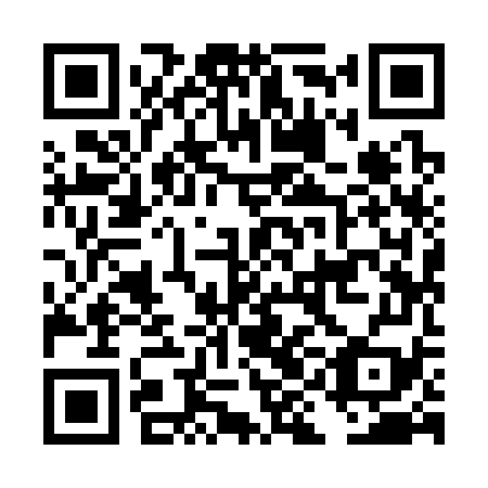 QR code for DII379