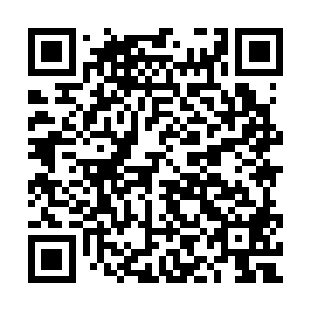QR code for plate DII 388