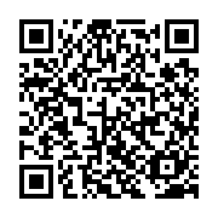 QR code for DII725