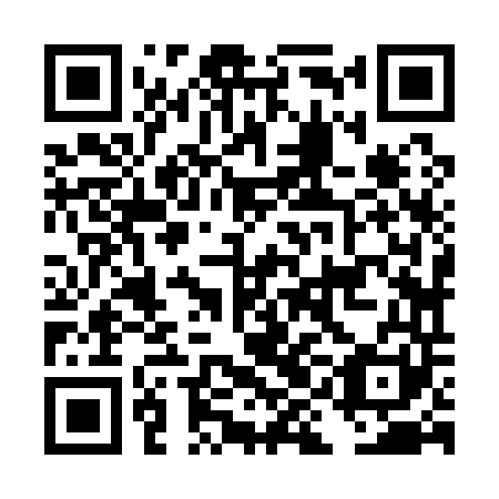 QR code for DIJ 141