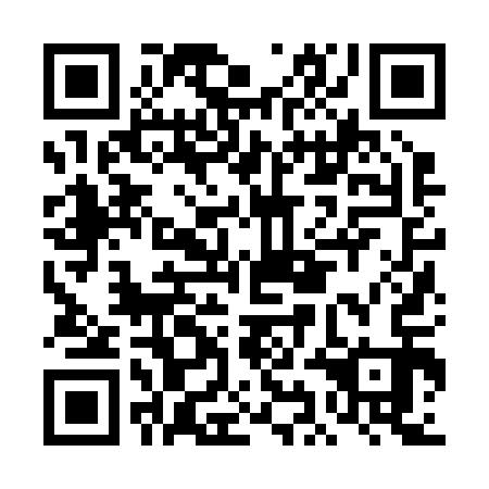 QR code for DIJ 213