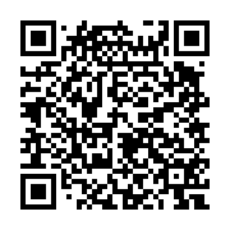 QR code for DIJ 454