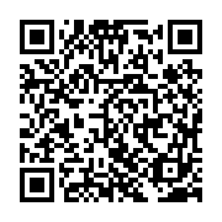 QR code for plate DIJ 273