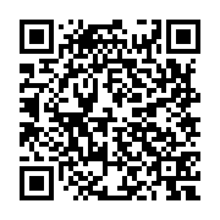 QR code for plate DIJ 971