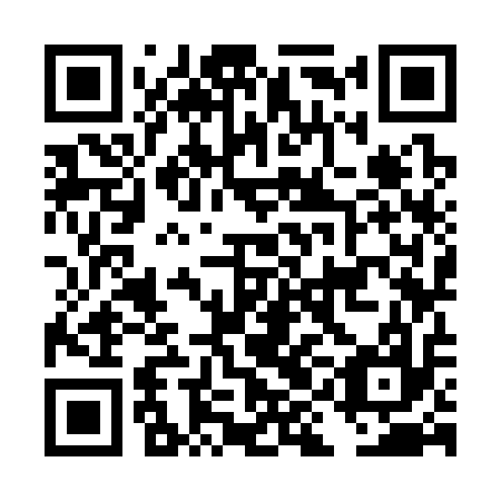 QR code for DIK 317