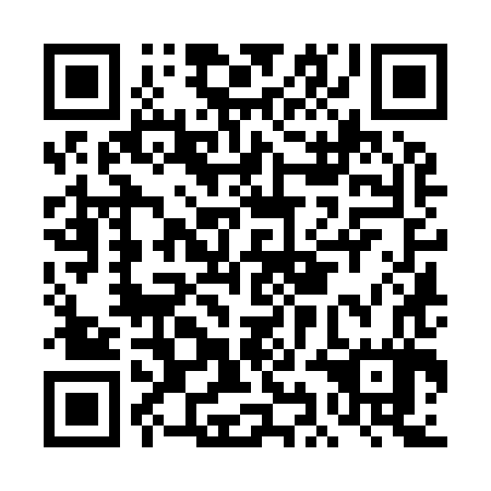 QR code for plate DIK 987