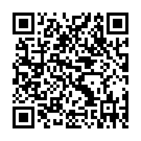 QR code for DIM 163
