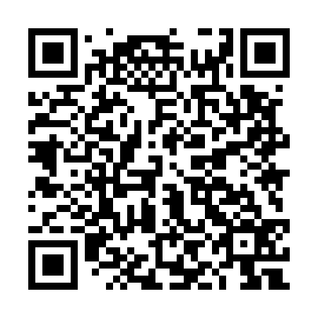 QR code for DIM 536