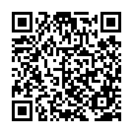 QR code for DIM 646