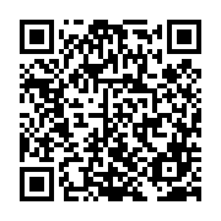 QR code for DIM446