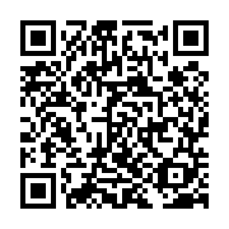 QR code for DIO 549