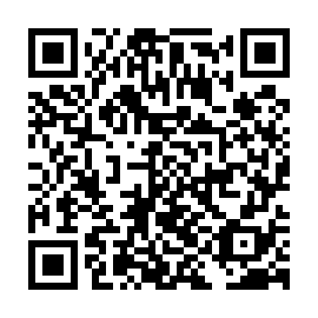 QR code for DIO 578
