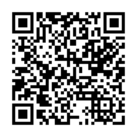 QR code for DIO311
