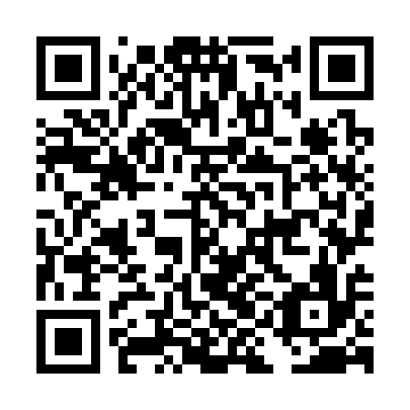 QR code for plate DIO 316