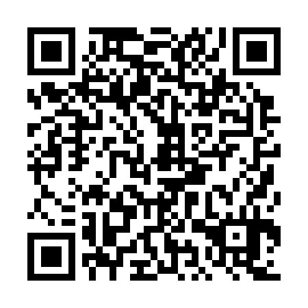 QR code for DIP 334