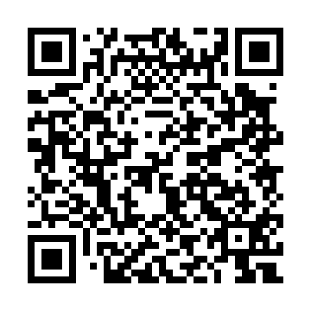 QR code for plate DIP 011