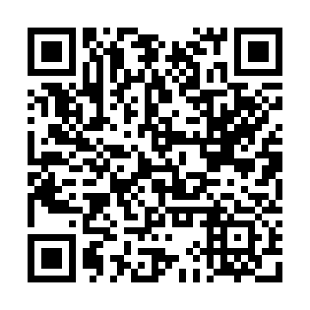 QR code for DIP333