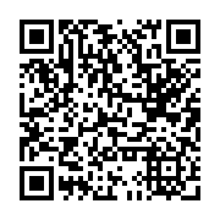 QR code for DIP389