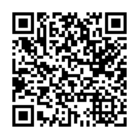 QR code for DIQ 319