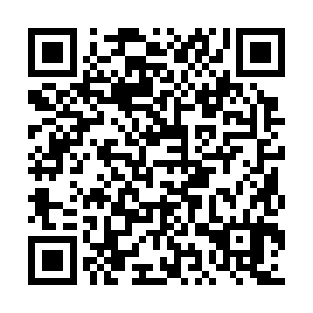 QR code for DIQ 384