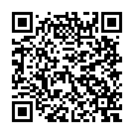 QR code for plate DIQ 517