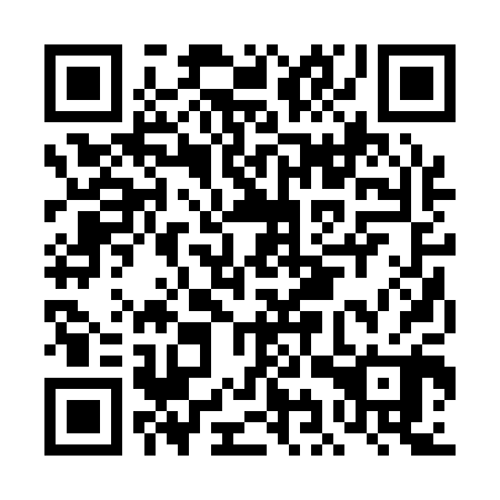 QR code for DIR 100