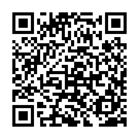 QR code for DIR 222