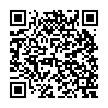 QR code for DIR 241