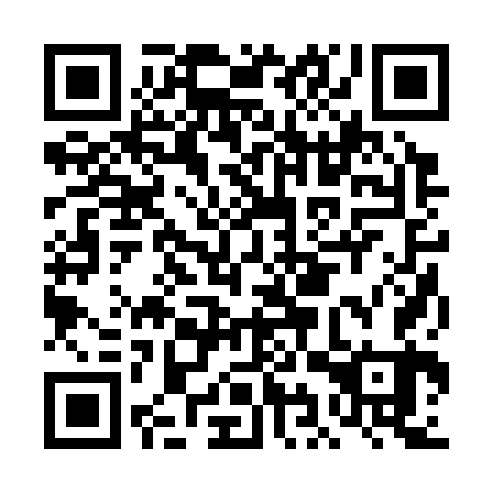 QR code for DIR 363