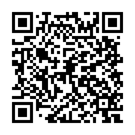 QR code for DIR 516