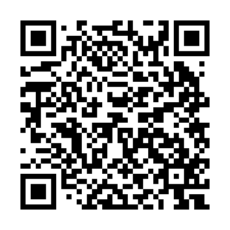 QR code for DIR217