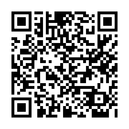 QR code for DIR438