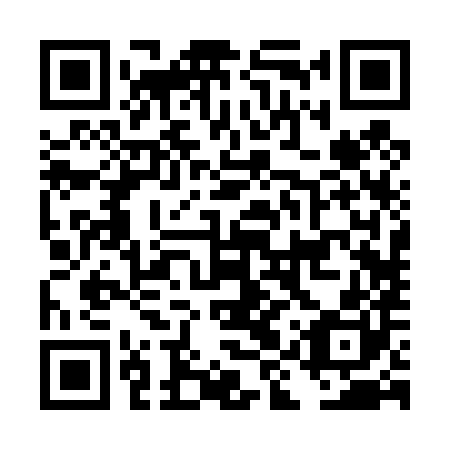 QR code for plate DIR 480