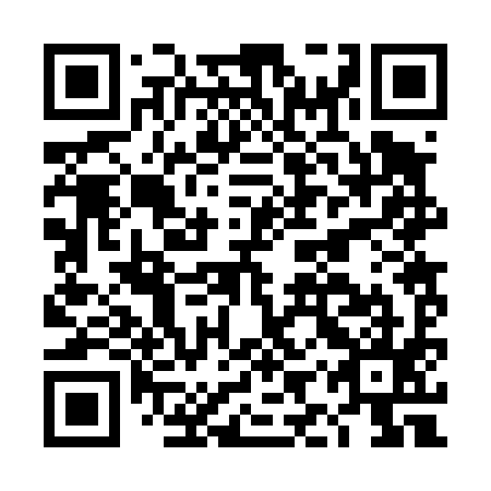 QR code for DIR495